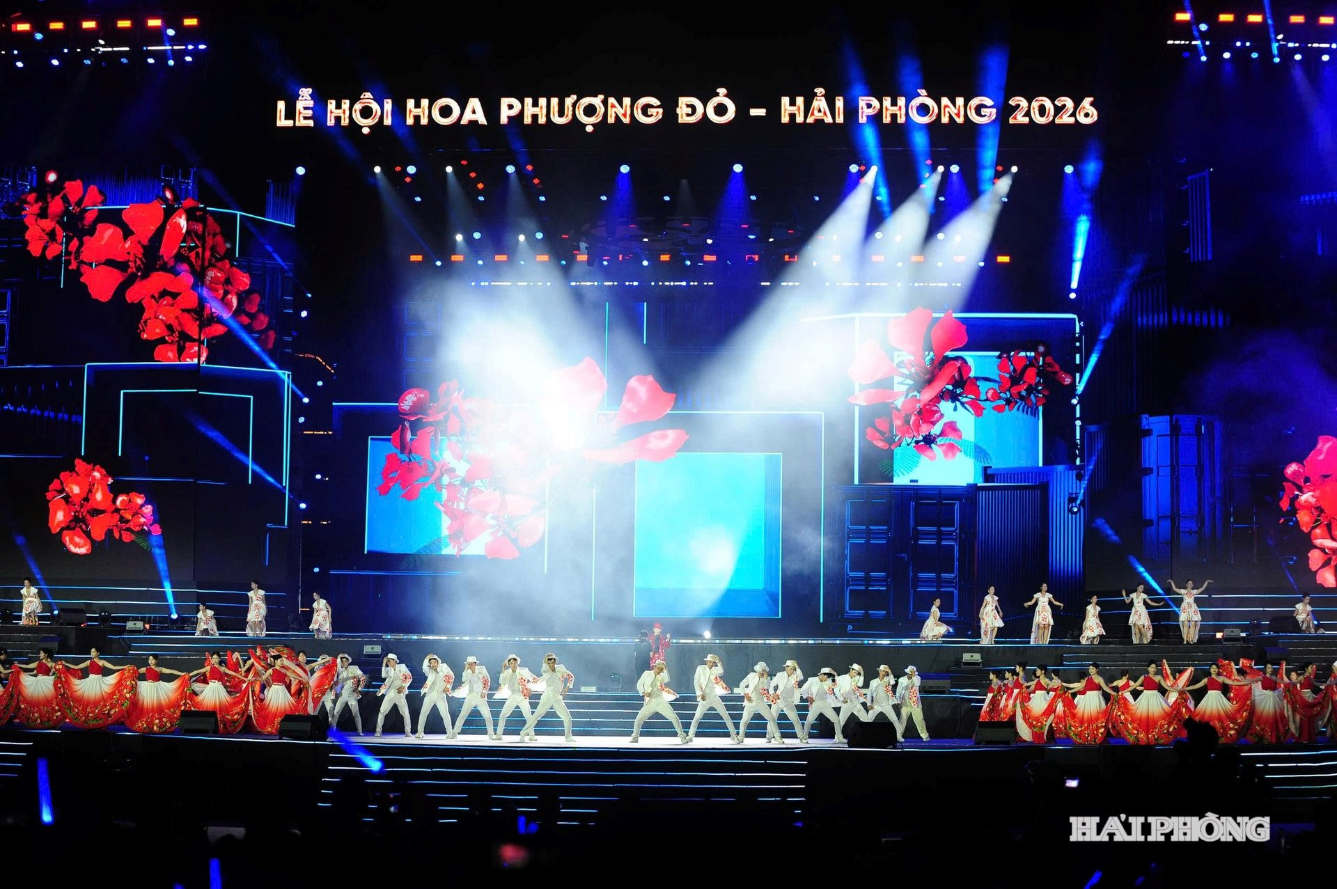 hoa-phuong-do(1).jpg
