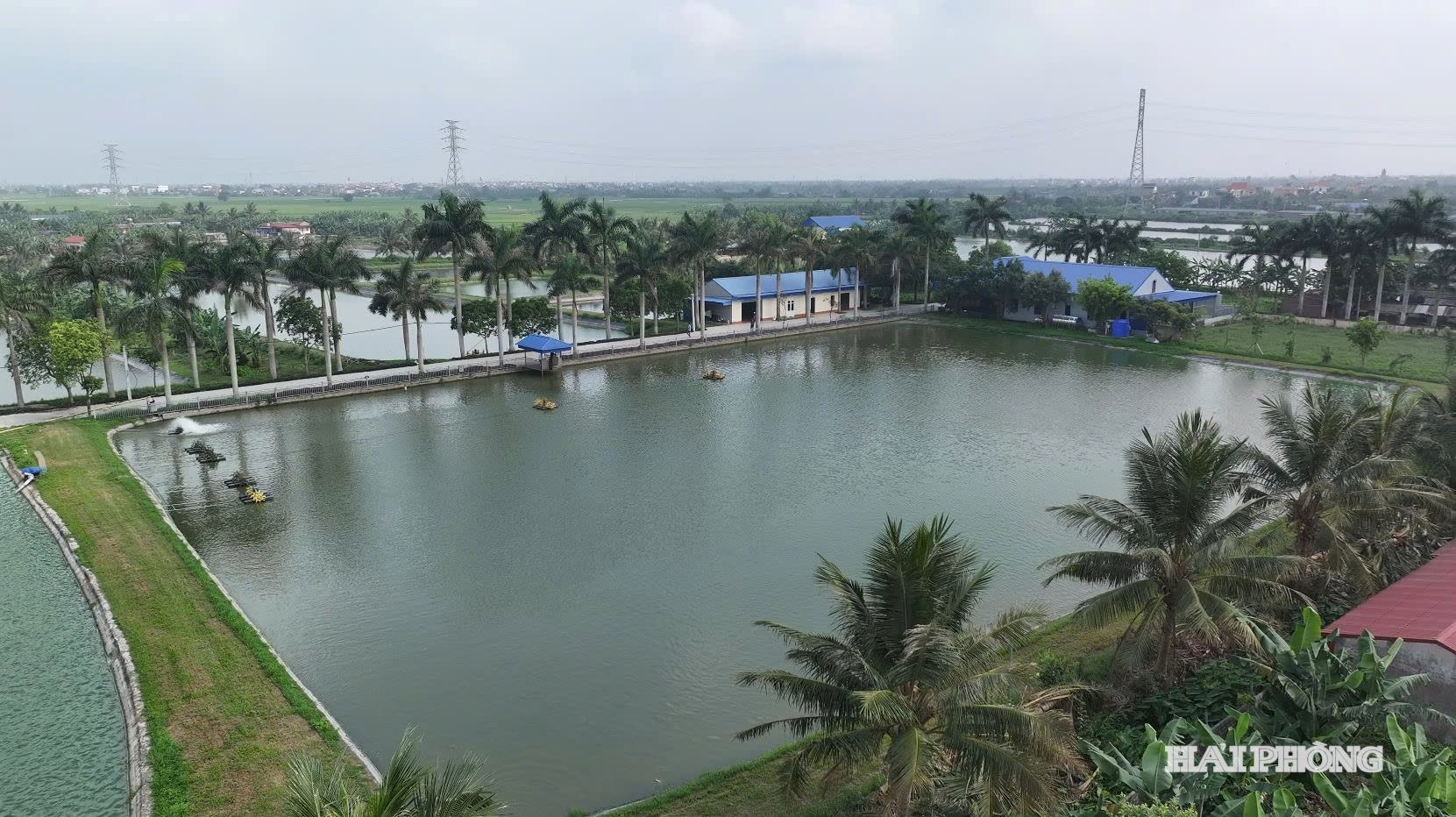 vung-nuoi-thuy-san.jpg