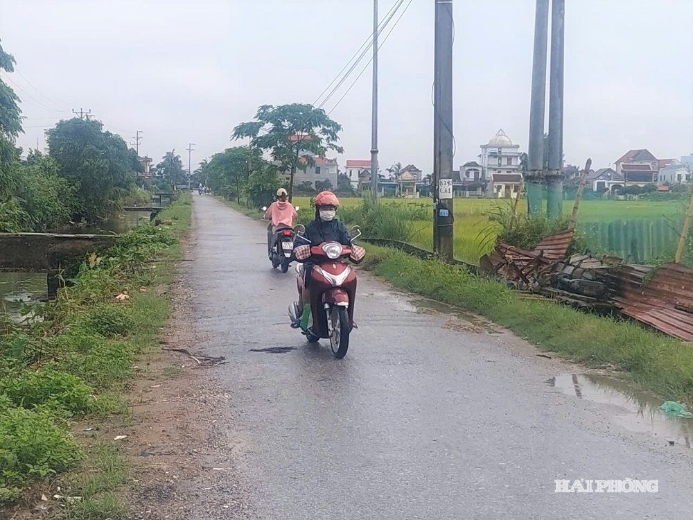 cap-phep 1