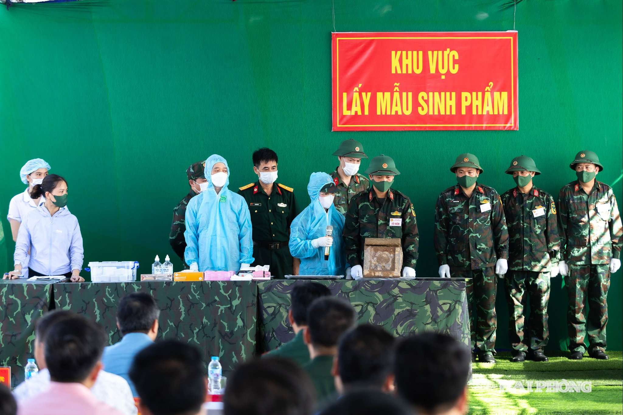 lay-mau-adn-5.jpg
