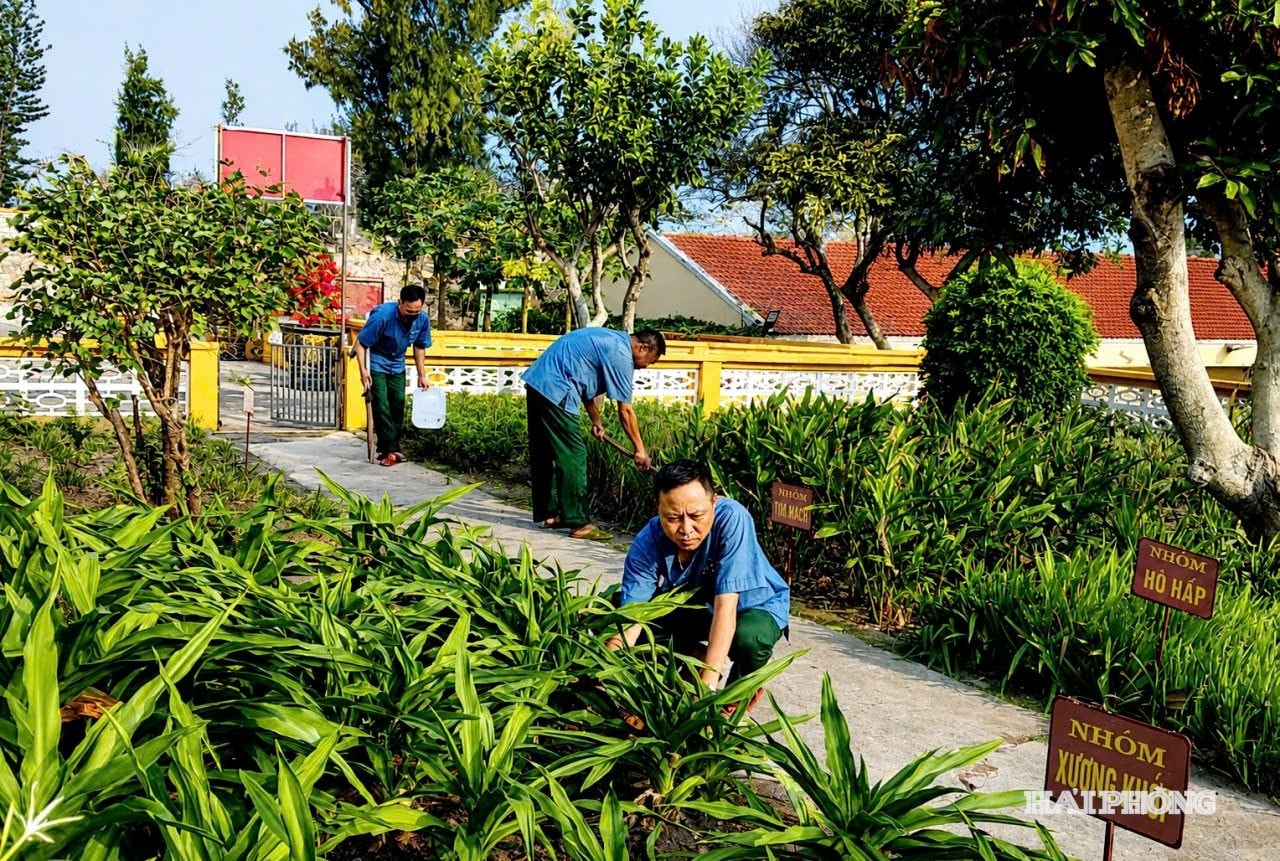 tieu-doan-phong-thu-dao.jpg