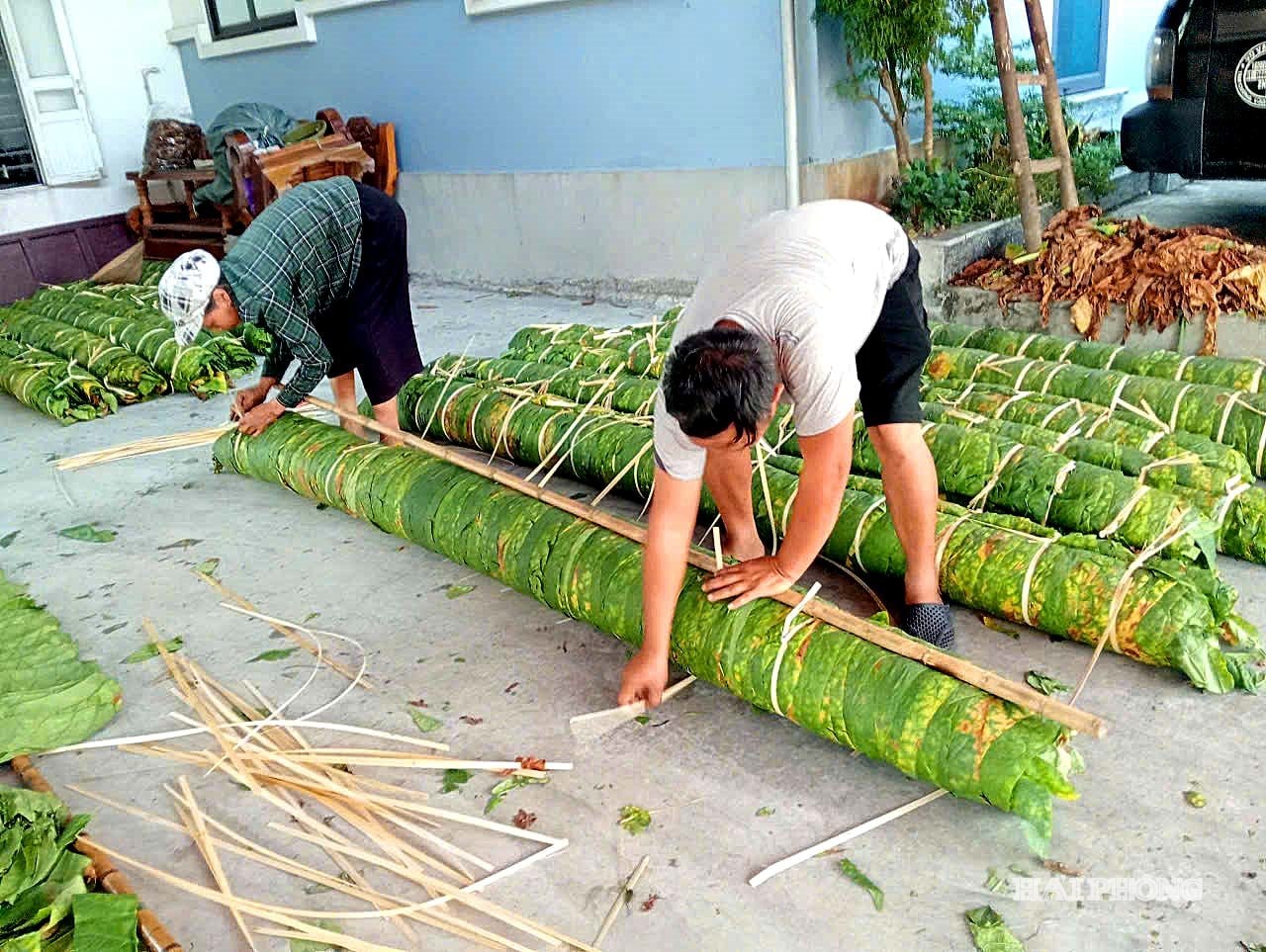 -যক্ষ্মা-ওষুধ-৬