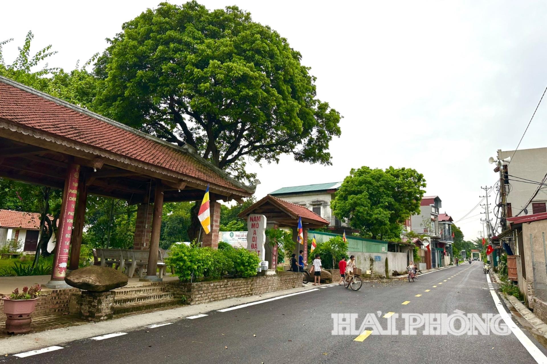 2.116 thôn, tổ dân phố ở Hải Phòng chưa bảo đảm số hộ