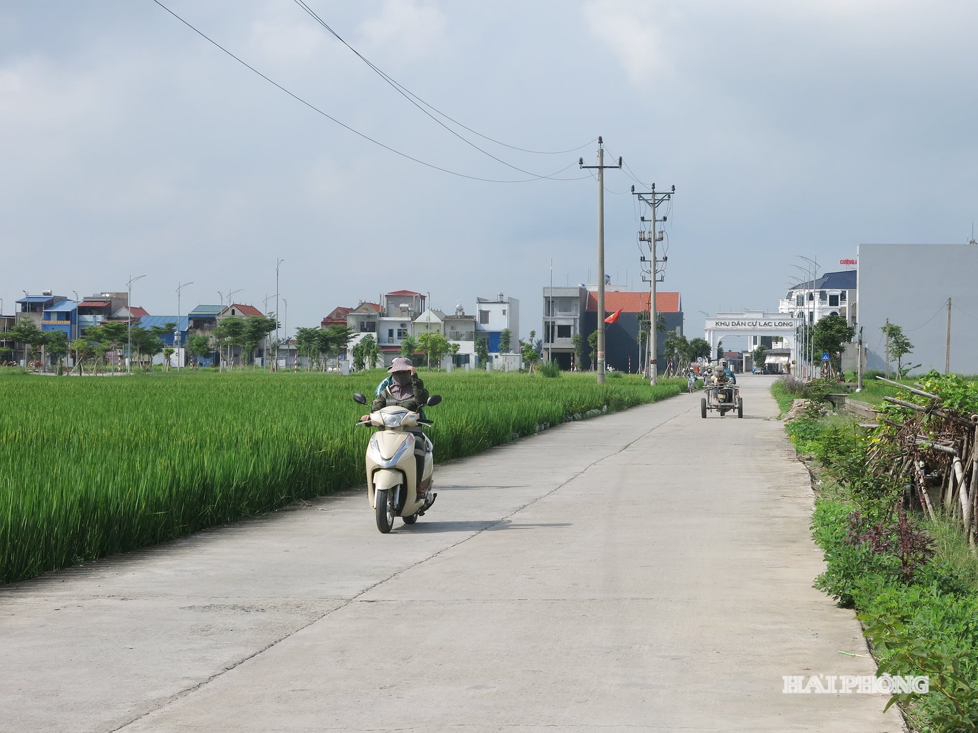 nam-an-phu-5198faddbd891163d983e3977d856dda.jpg