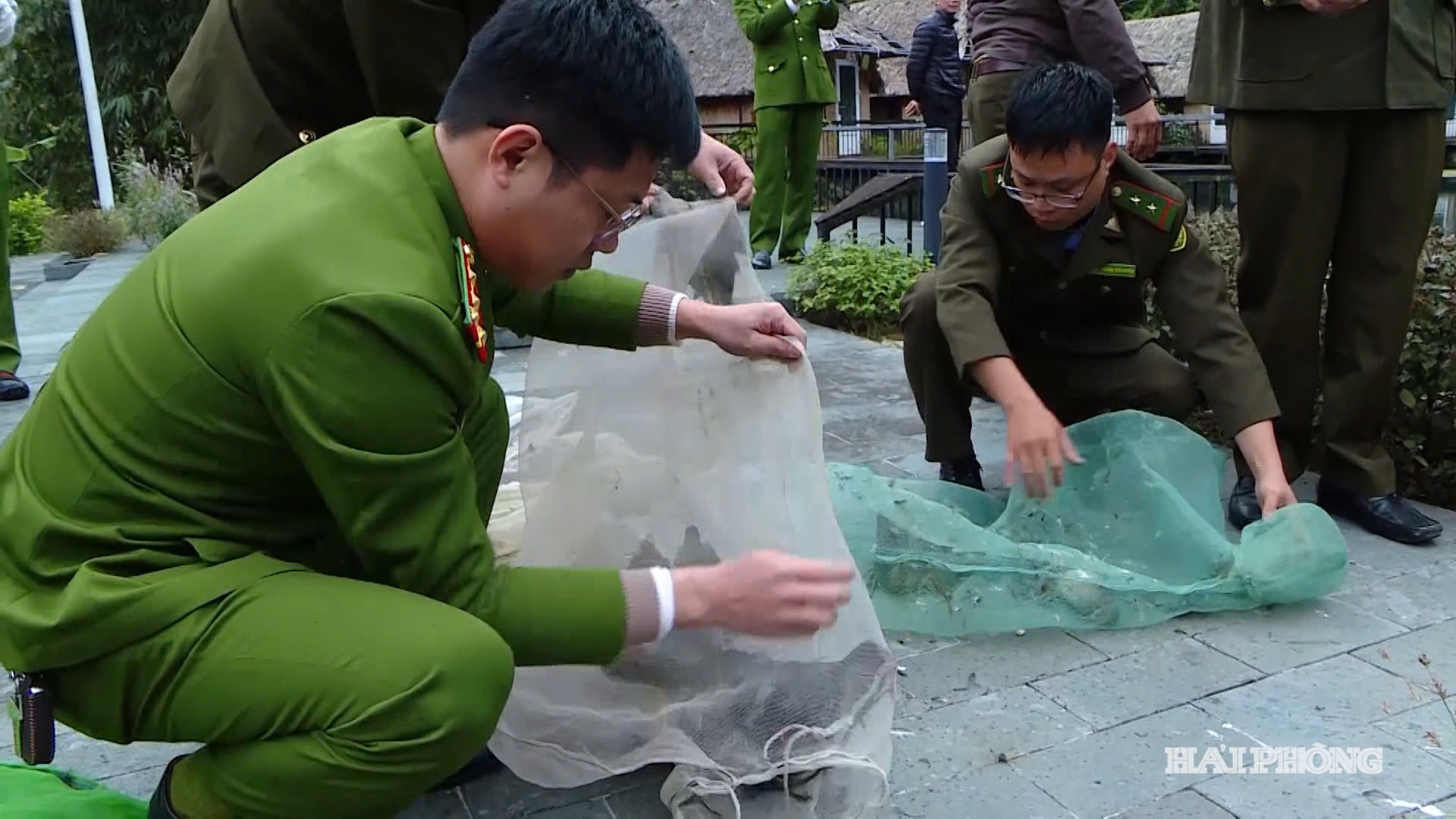 dong vat hoang da 1