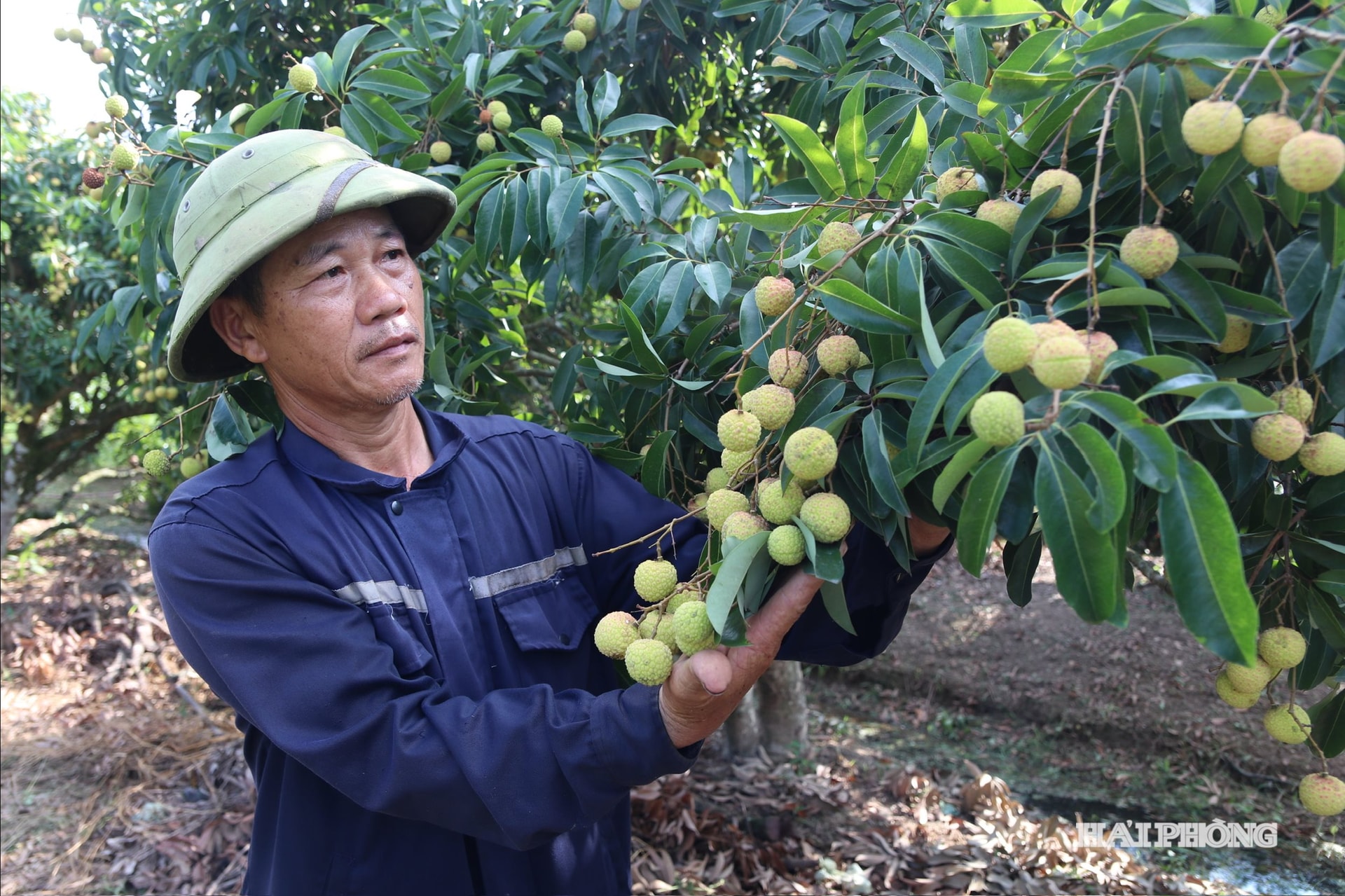 vai-thieu-thanh-ha.jpg