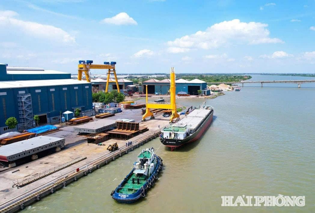 dong-tau-1-(1).jpg