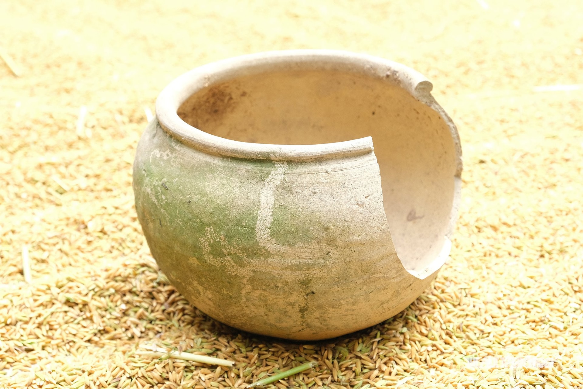 hoang-thi-be-03(1).jpg