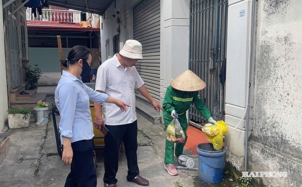 phan-loai.jpg