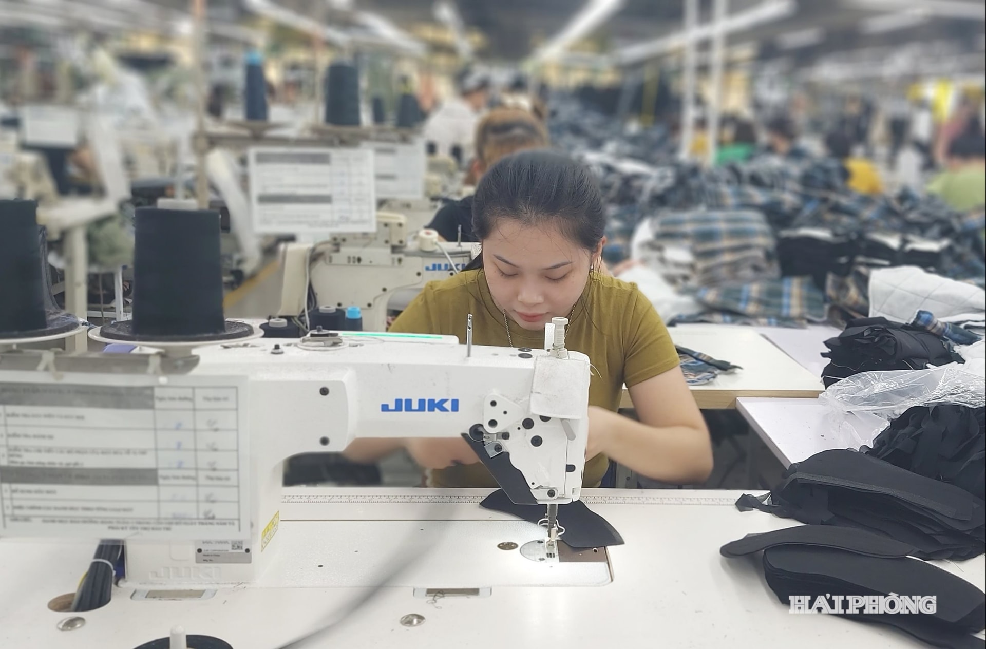lao-dong-1.jpg