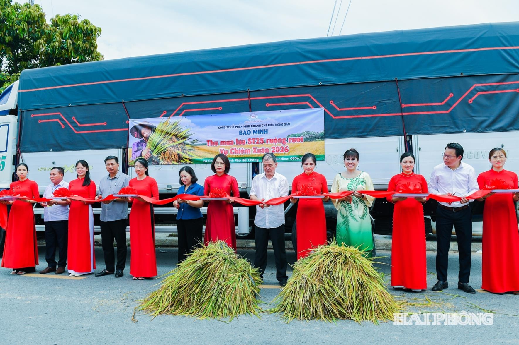 Cắt băng xuất chuyến hàng lúa ST25 ruộng rươi hữu cơ.