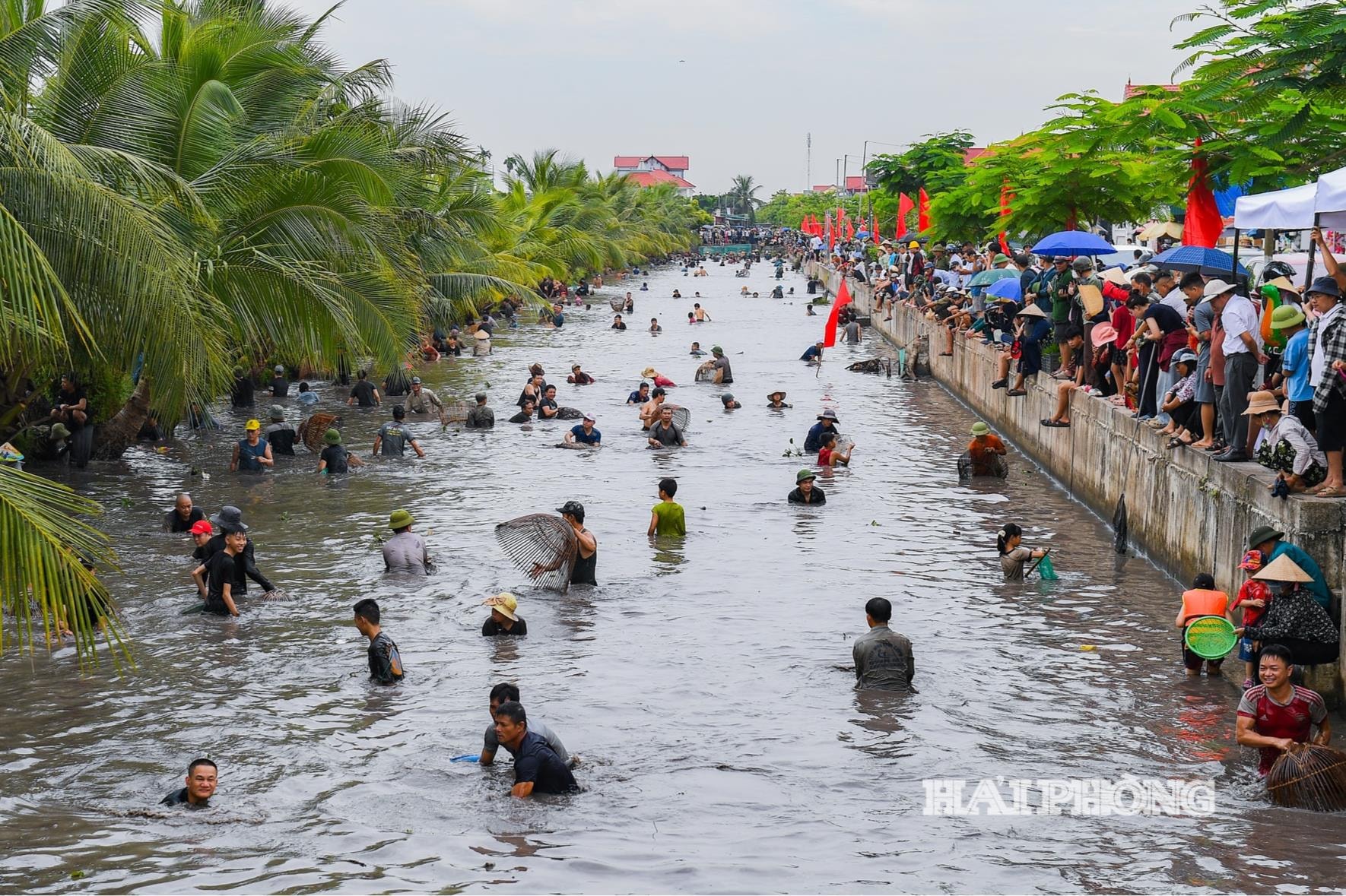 Hội đùa nơm thu hút sự tham gia của đông đảo người dân và du khách.