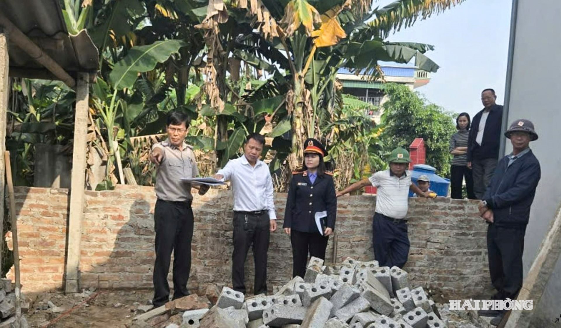 tue-tinh.jpg