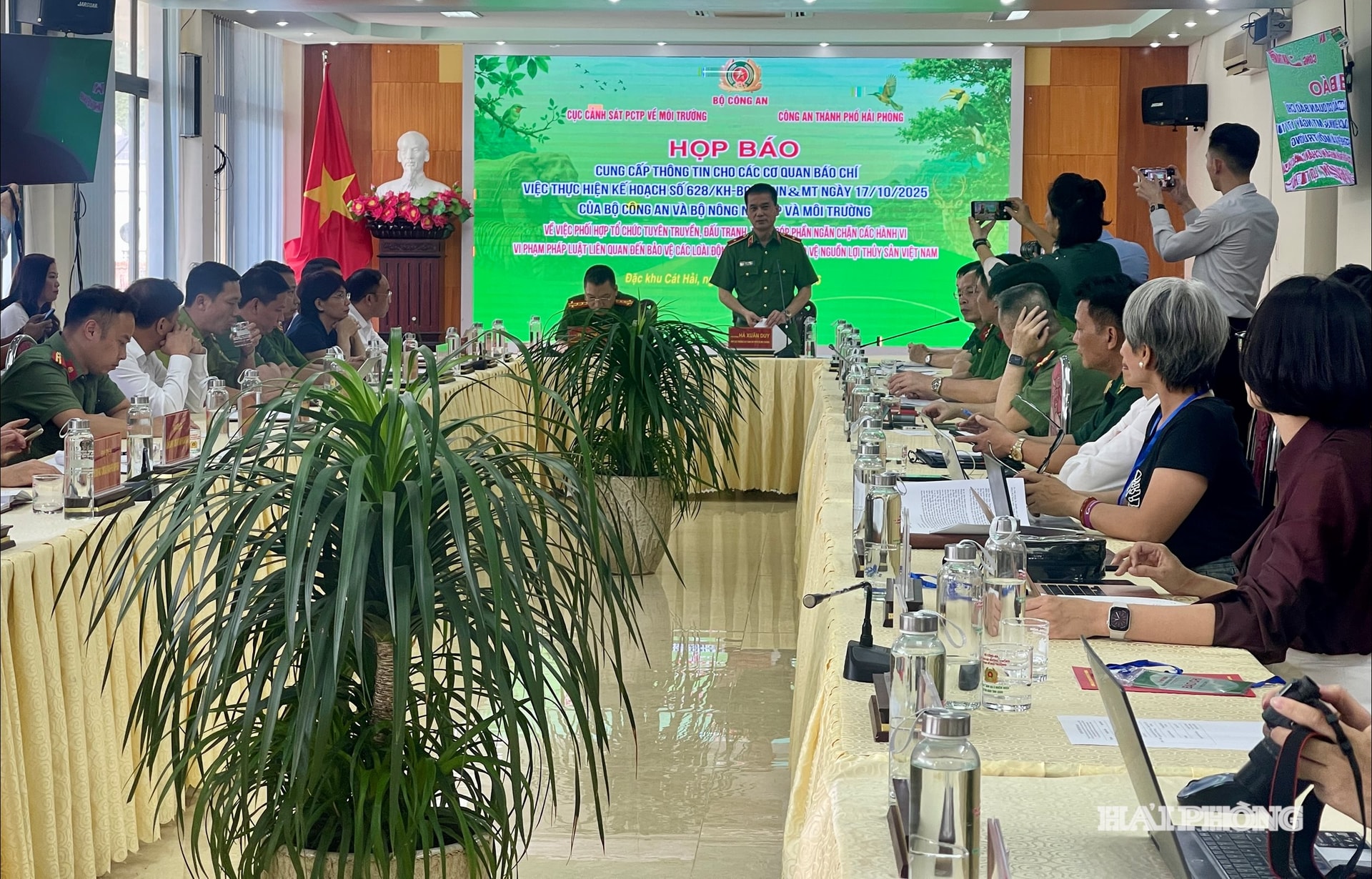 dong-vat-hoang-da1.jpg