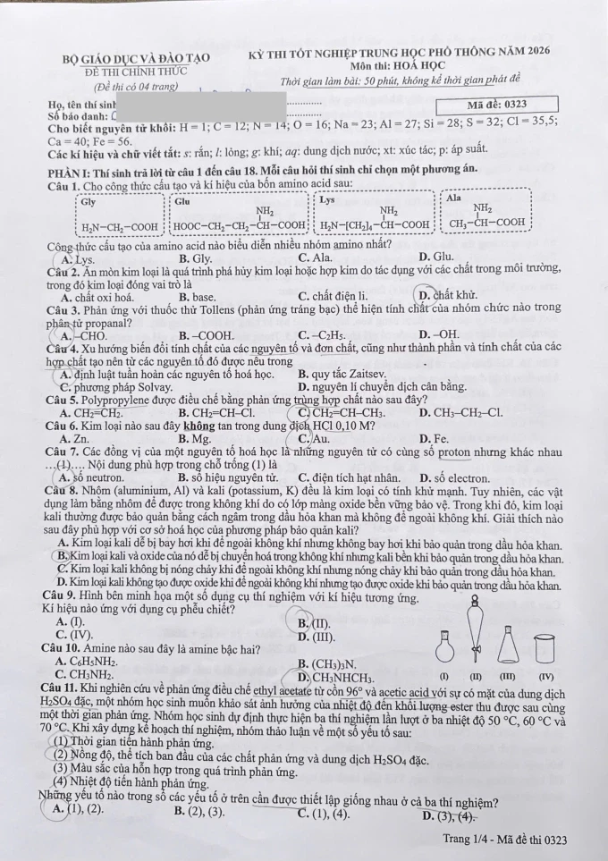 hoa-1.webp