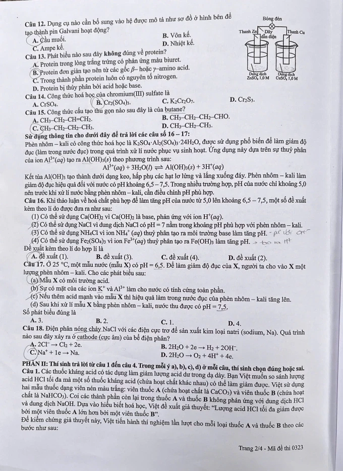 hoa-2.webp