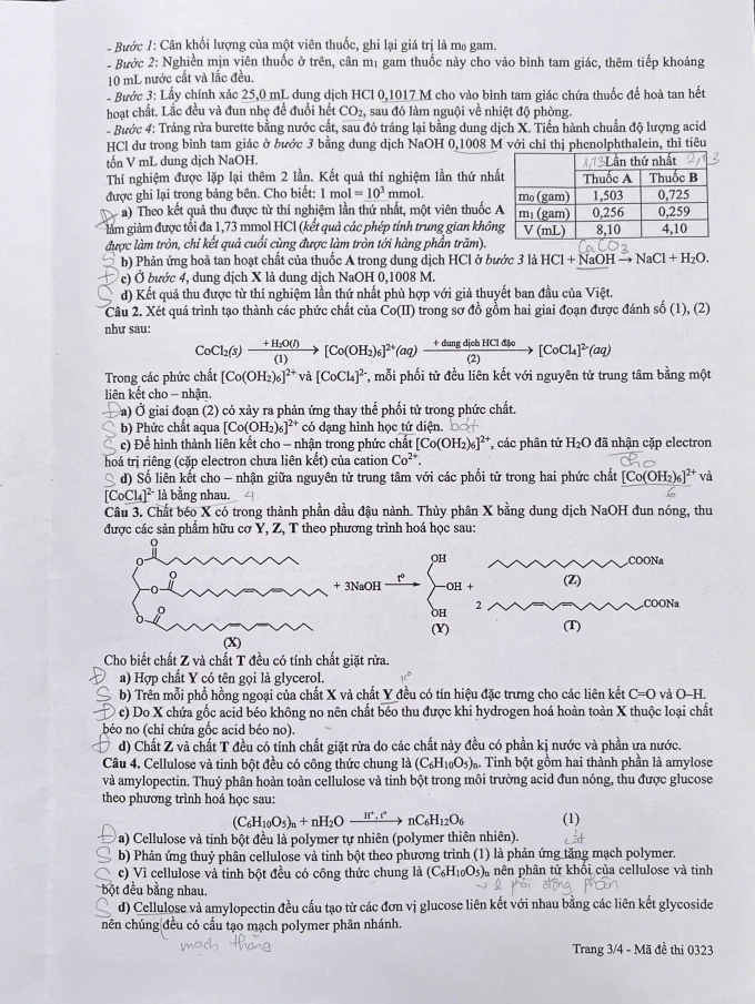 hoa-4.webp