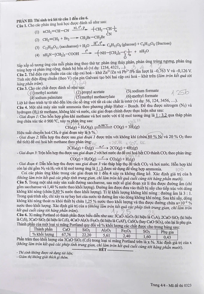 hoa-41.webp