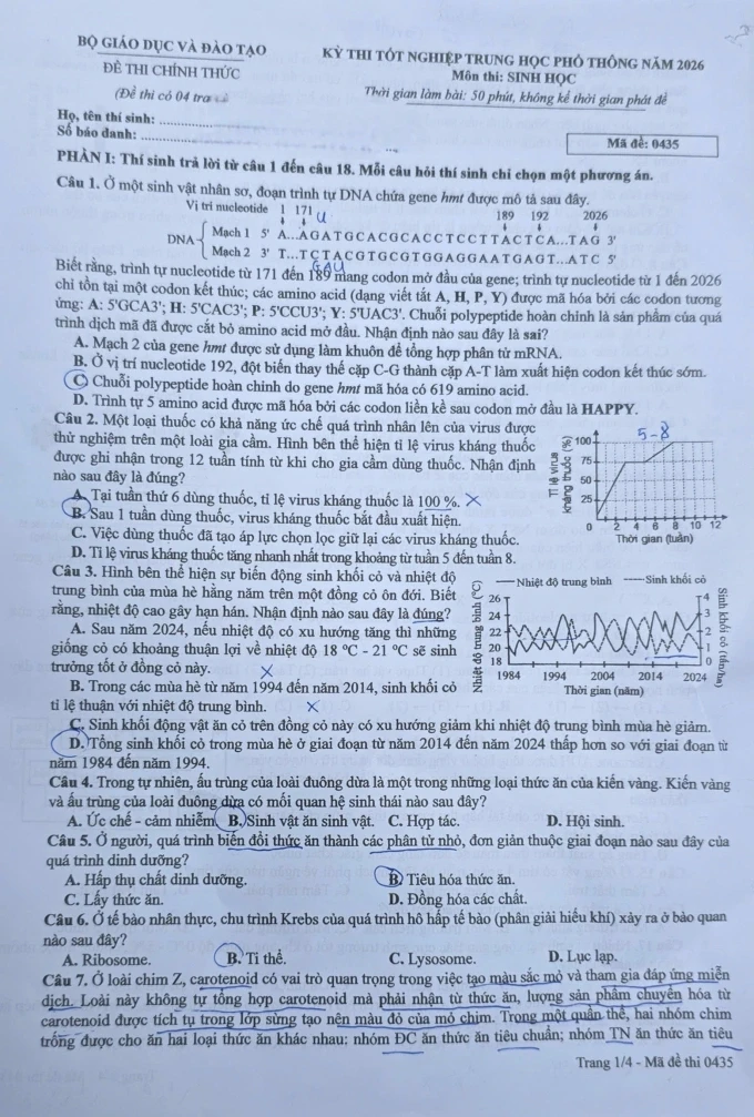 sinh-1.webp