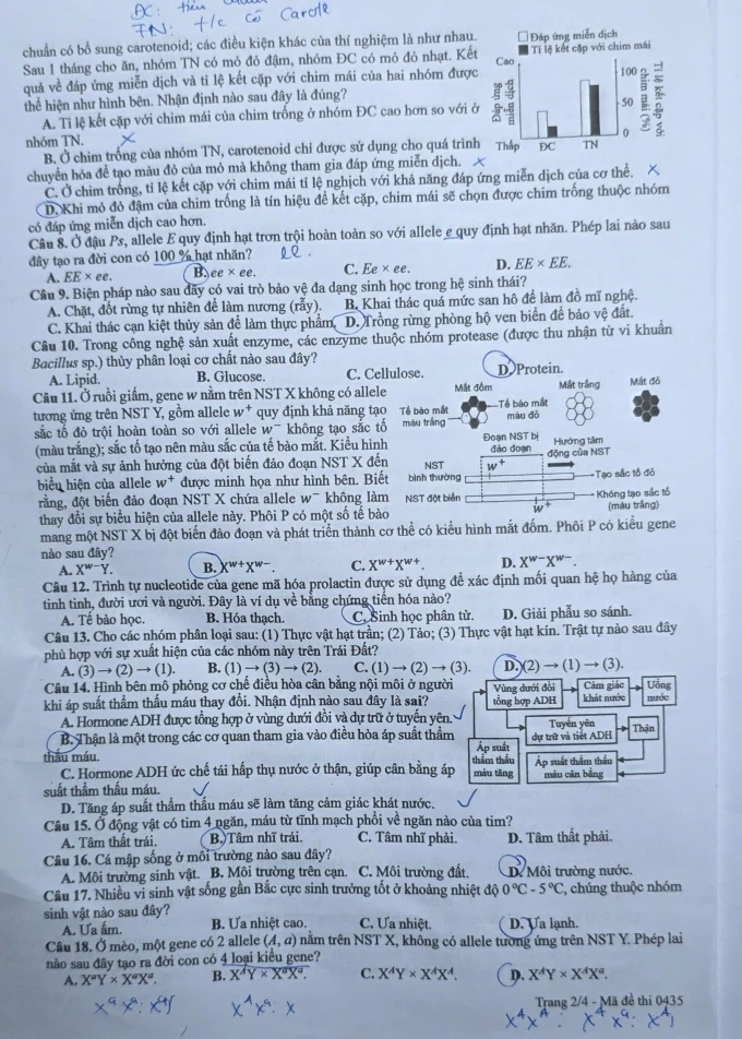 sinh-2.webp