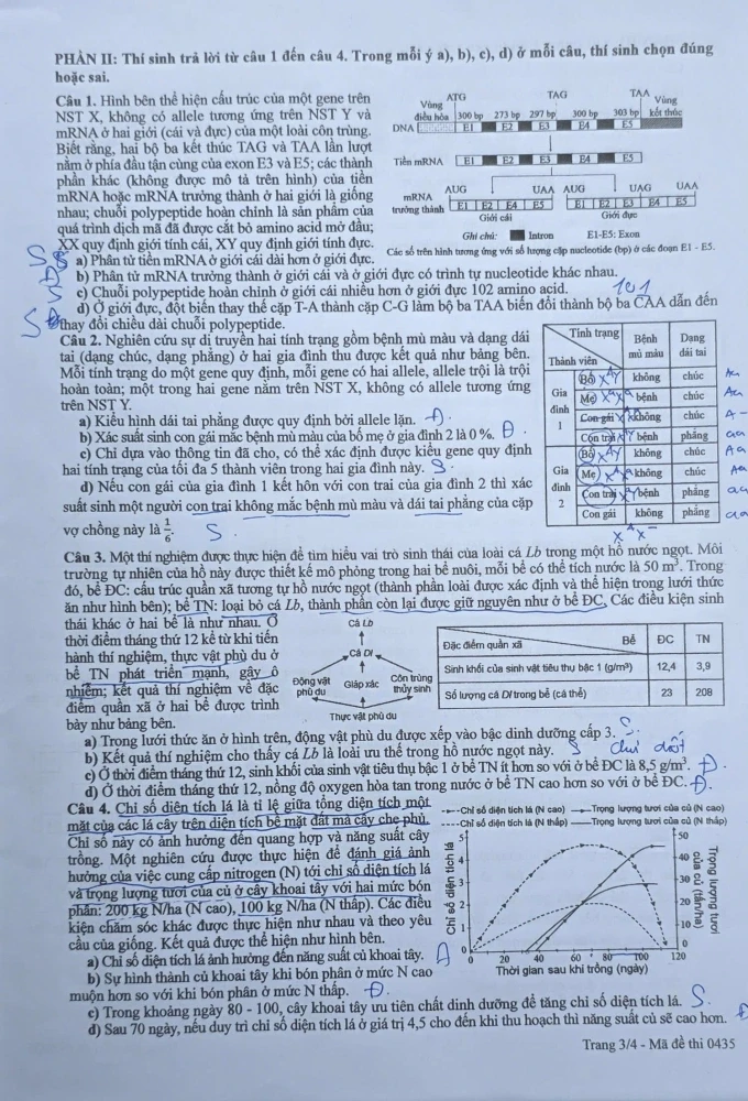 sinh-3.webp