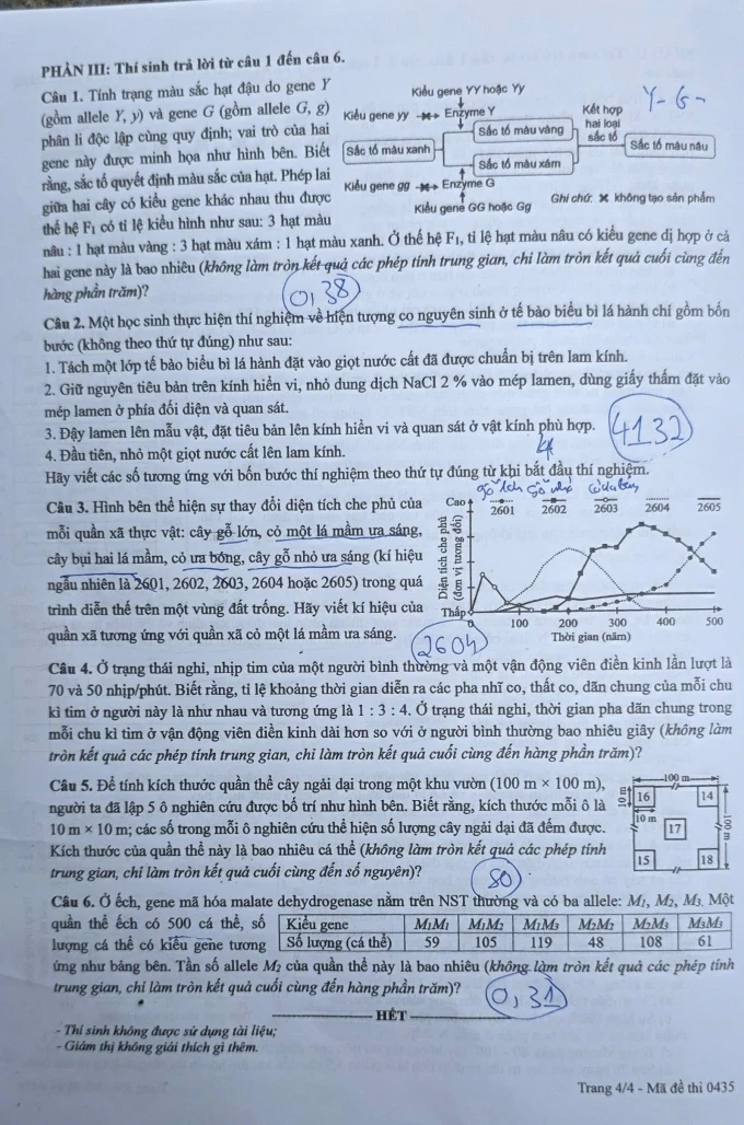 sinh-4.webp