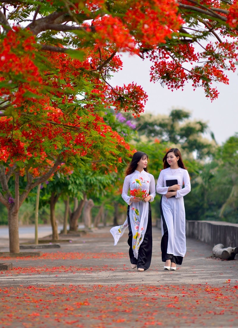 phuong-vi.jpg
