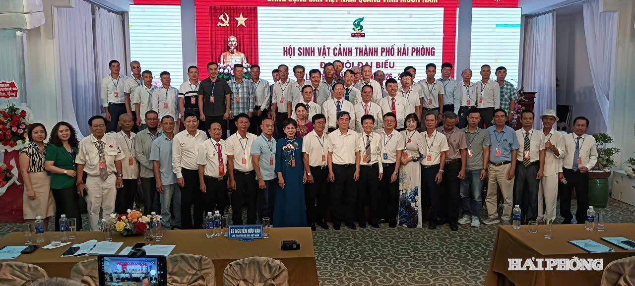BCH Hội ra mắt
