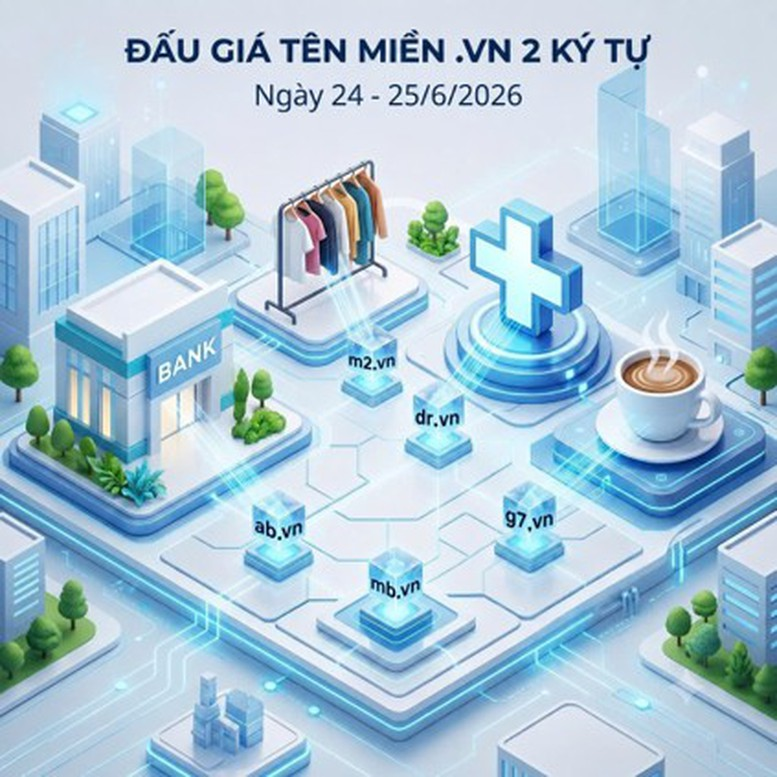 dau-gia-ten-mien.png