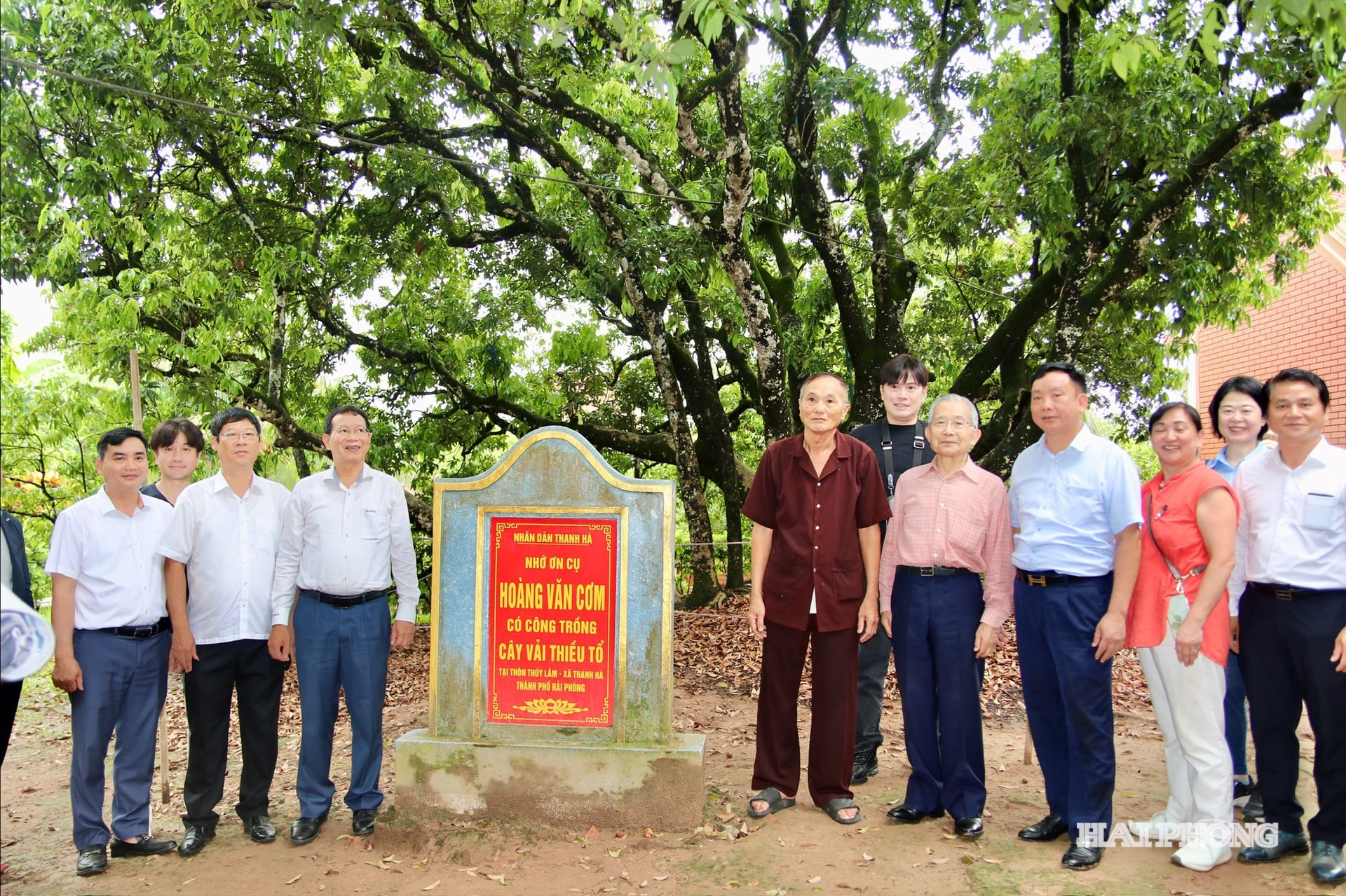 cay-vai-to-thanh-ha.jpg