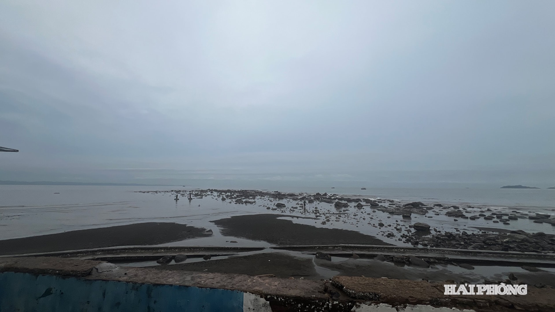 img_5118.jpeg
