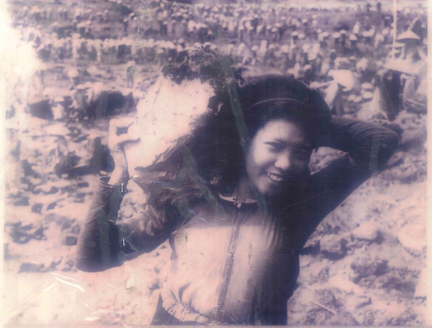 dan-cong.jpg