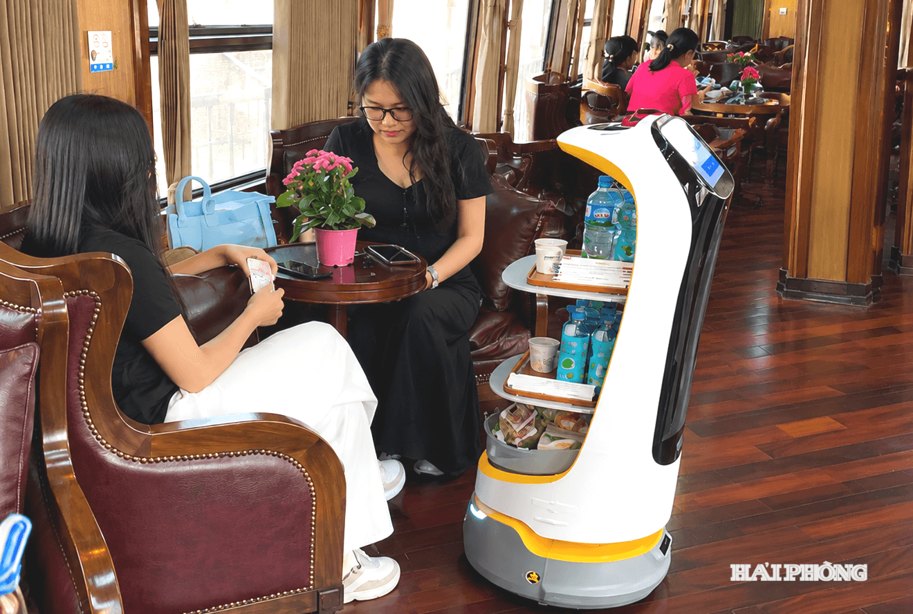 tau-hoa-phuong-ro-bot(1).png