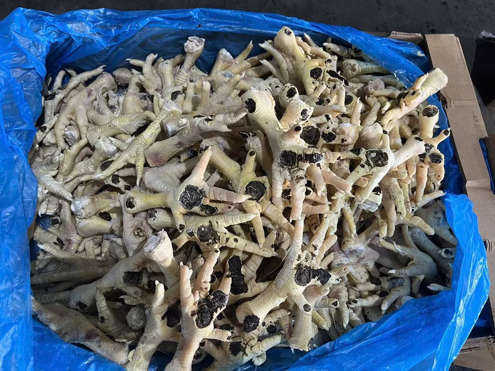 Chân gà công an thu giữ. (Ảnh: CAHN) z7952166823716-c75bc531bb4d5923c09f09de8703424b.jpg