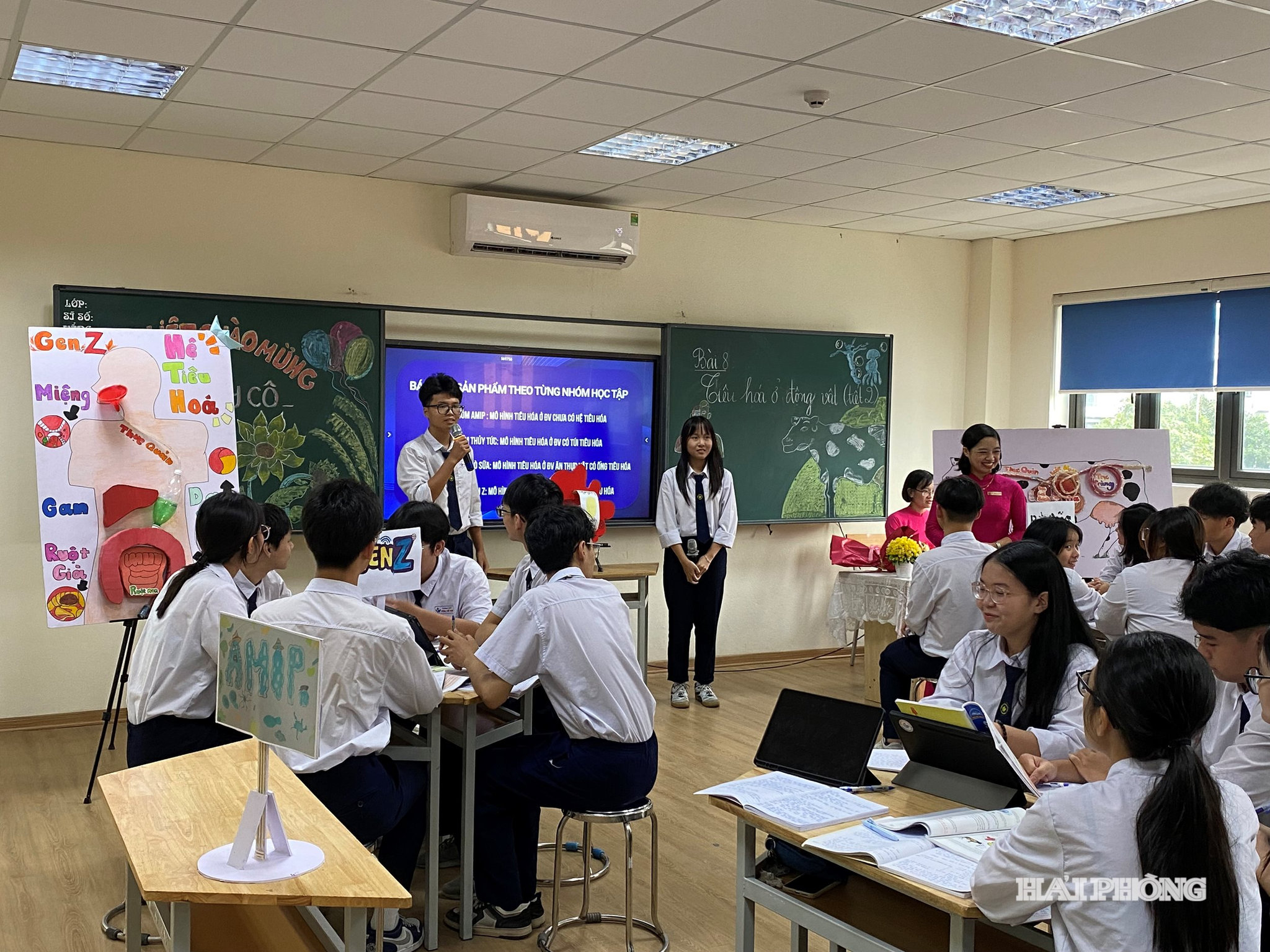 truong-hoc-3.jpg