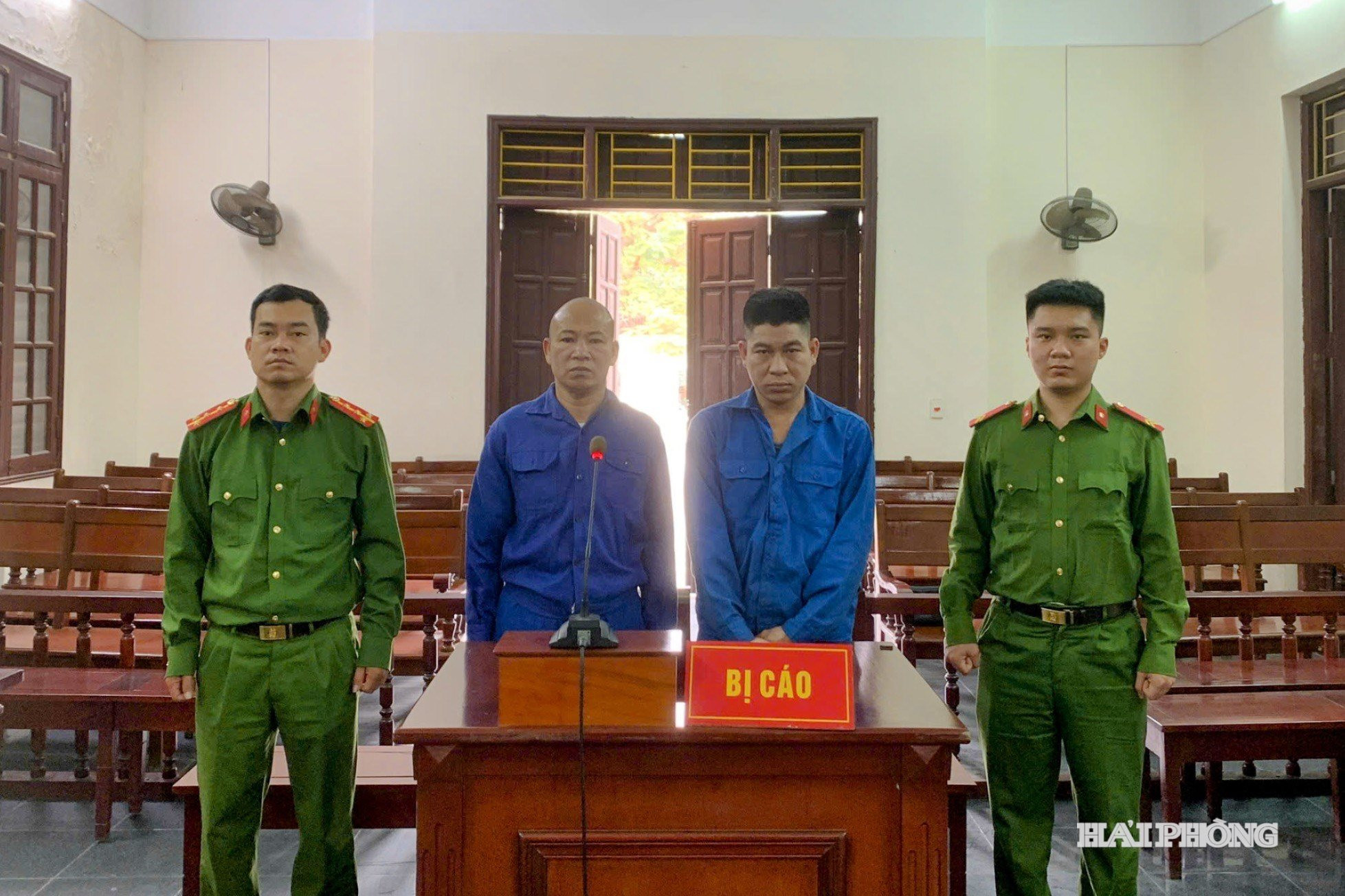 hoat dong tu phap