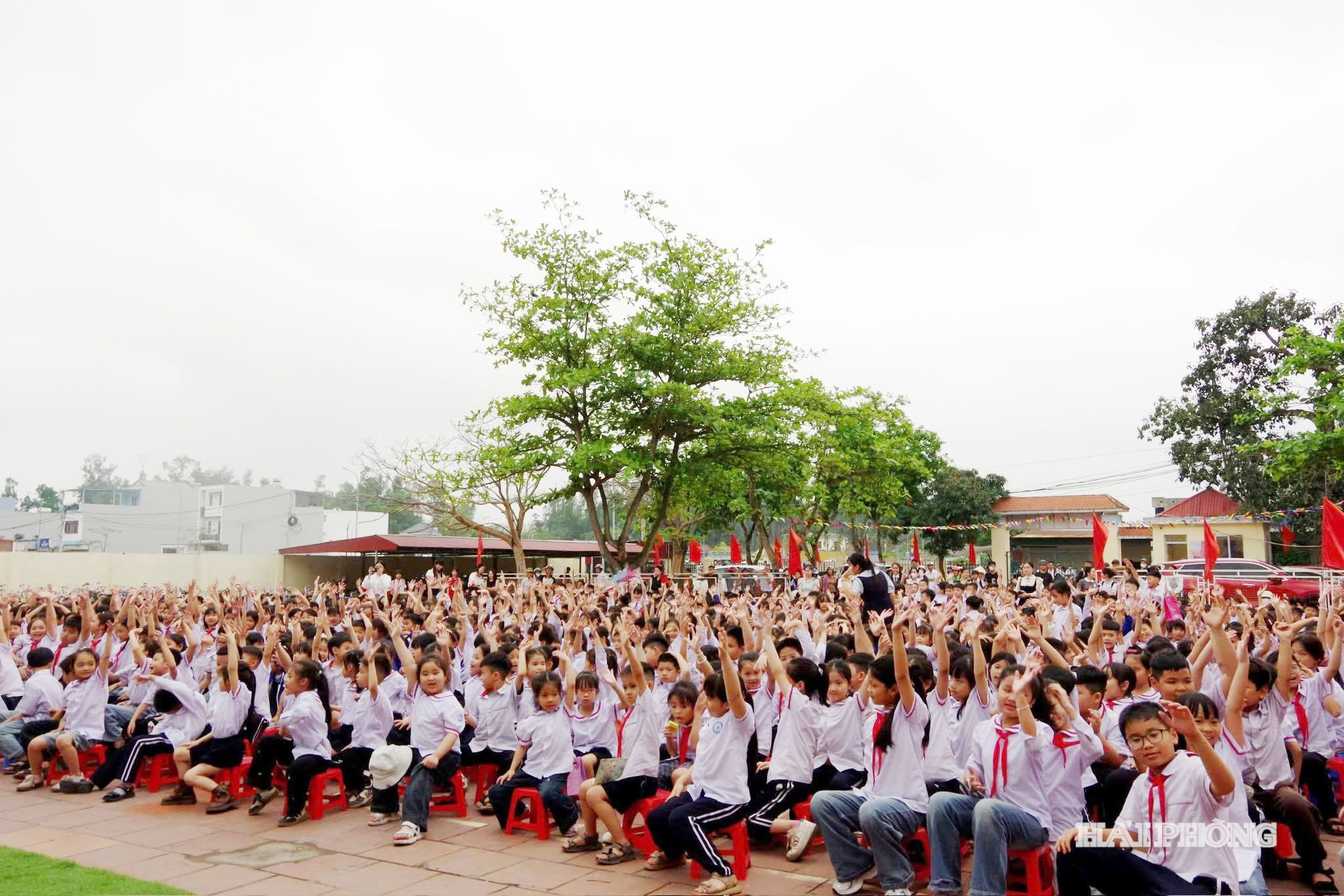 tieu-hoc.jpg