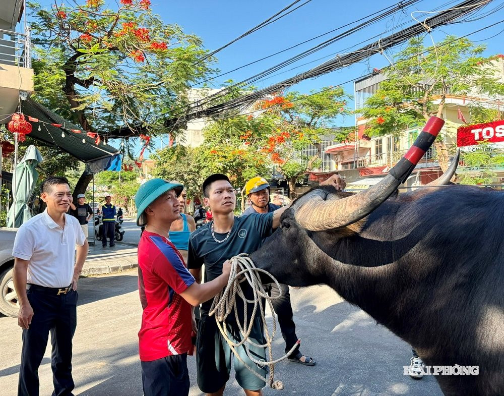 Ban Tổ chức tiến hành kiểm tra các 