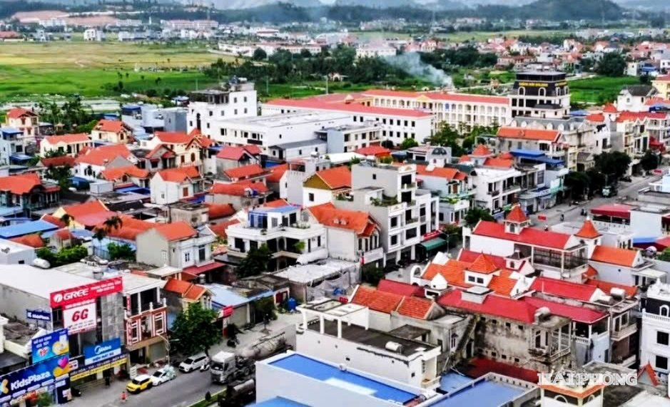 hoa binh 3