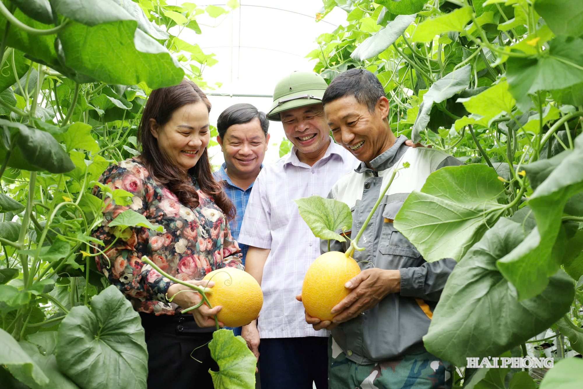 thanh-mien.jpg