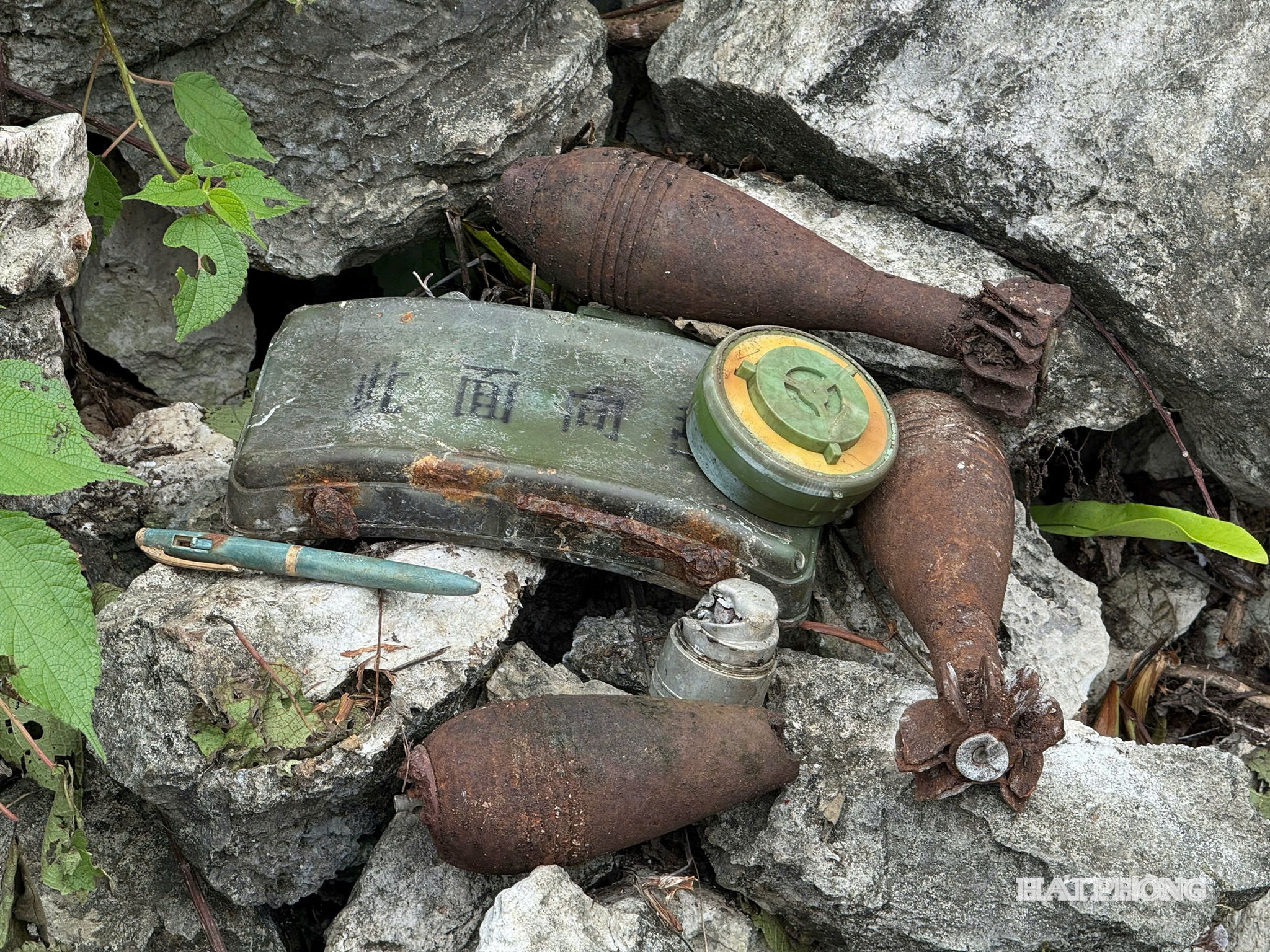 tim-kiem-liet-si.jpg