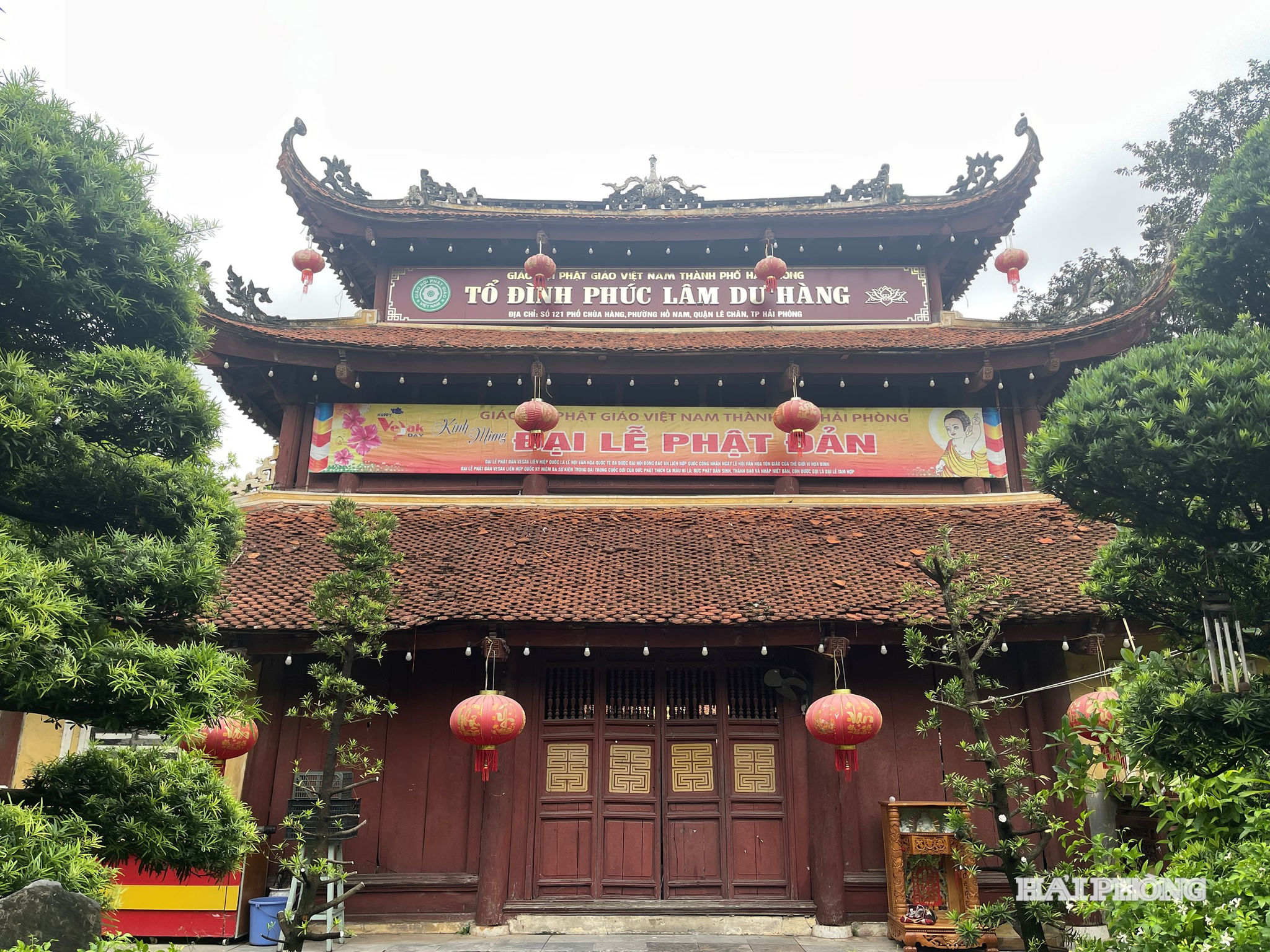 sour-du-hang.jpg
