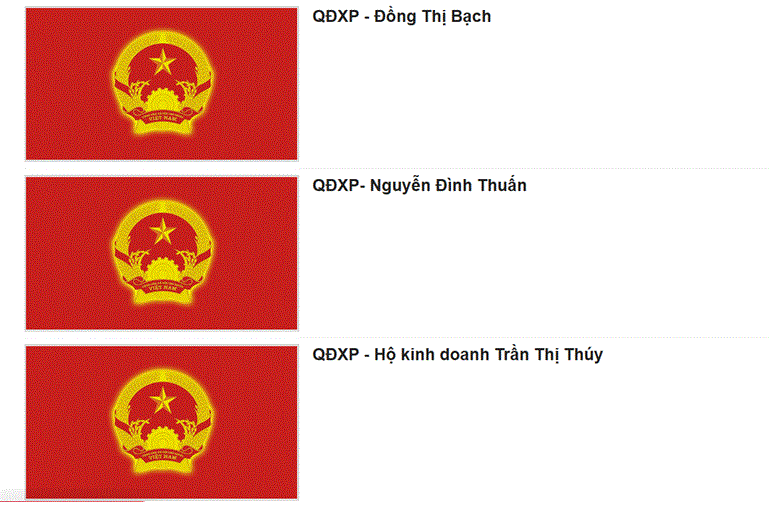 xu-phat-vi-pham-a4f6dc838a7ebc1a8d00b0892cb0e596.gif