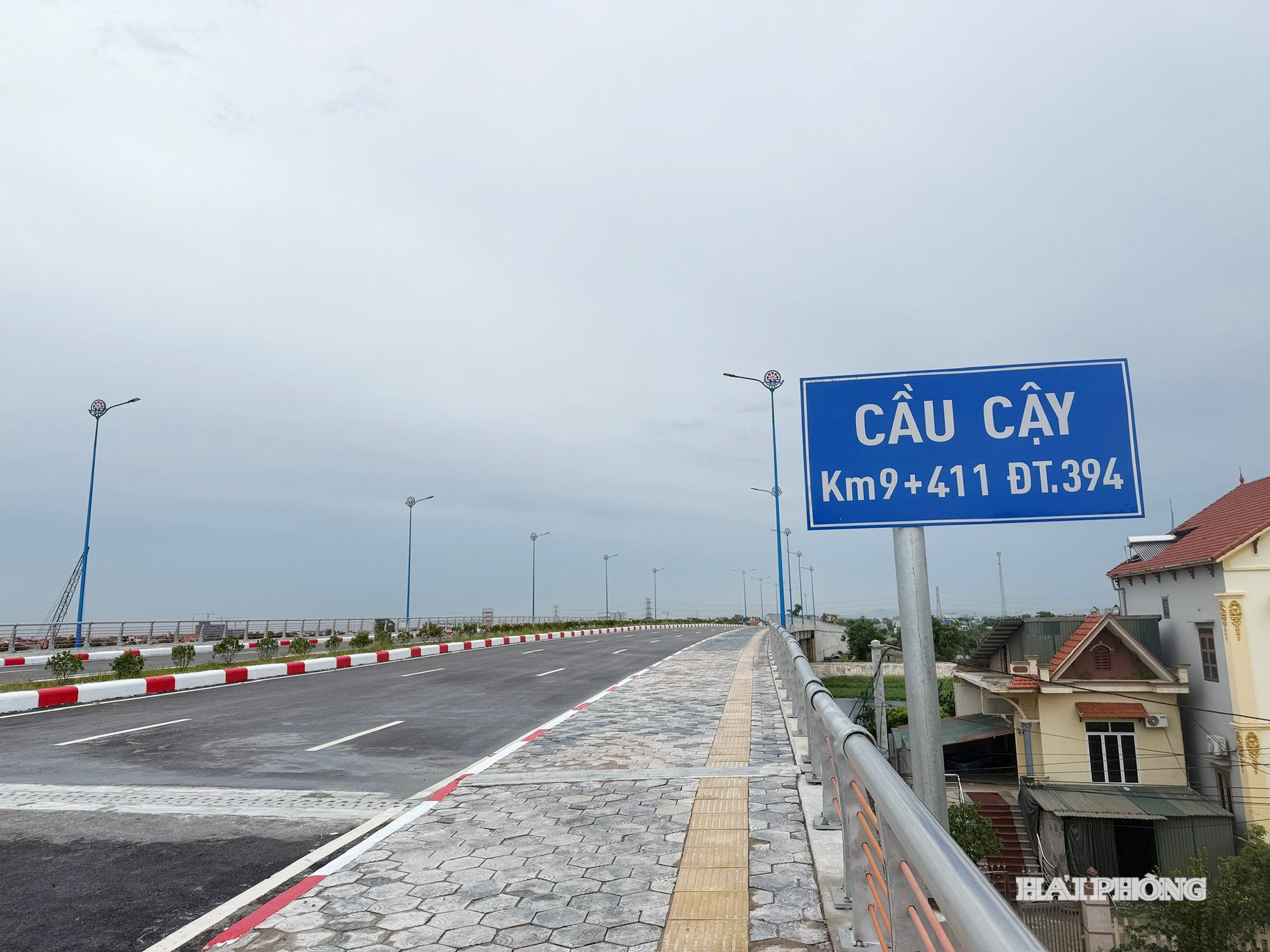 cau-cay-2.jpg