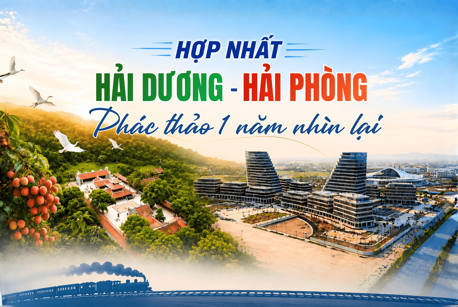 INFO HEADER 3x2 (4)