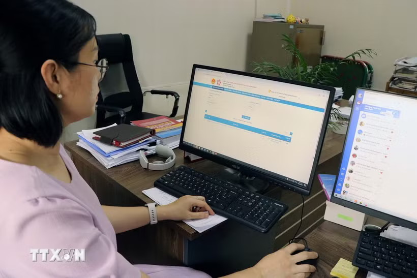 Ảnh minh họa. (Ảnh: Hoàng Ngọc/TTXVN)