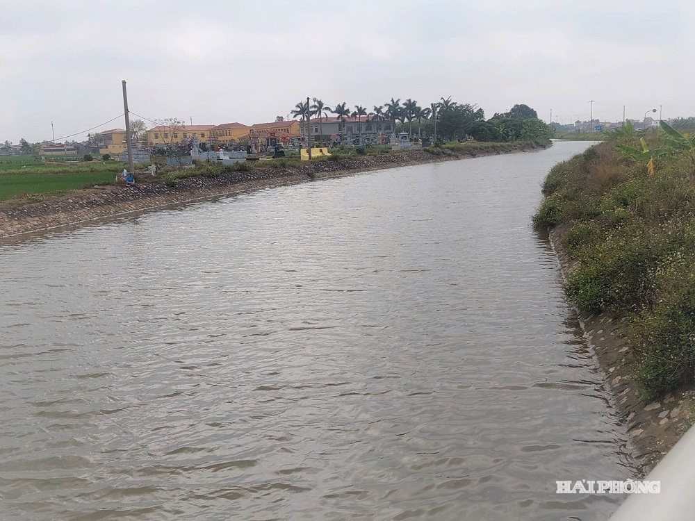 Kênh Chanh Dương được Công ty TNHH một thành viên Khai thác công trình thủy lợi Vĩnh Bảo chủ động hạ mực nước đệm xuống thấp.