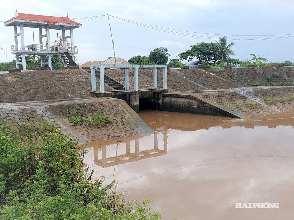 Công ty TNHH một thành viên Khai thác công trình thủy lợi Tiên Lãng vận hành cống Bắc Phong tiêu nước ra sông Thái Bình.