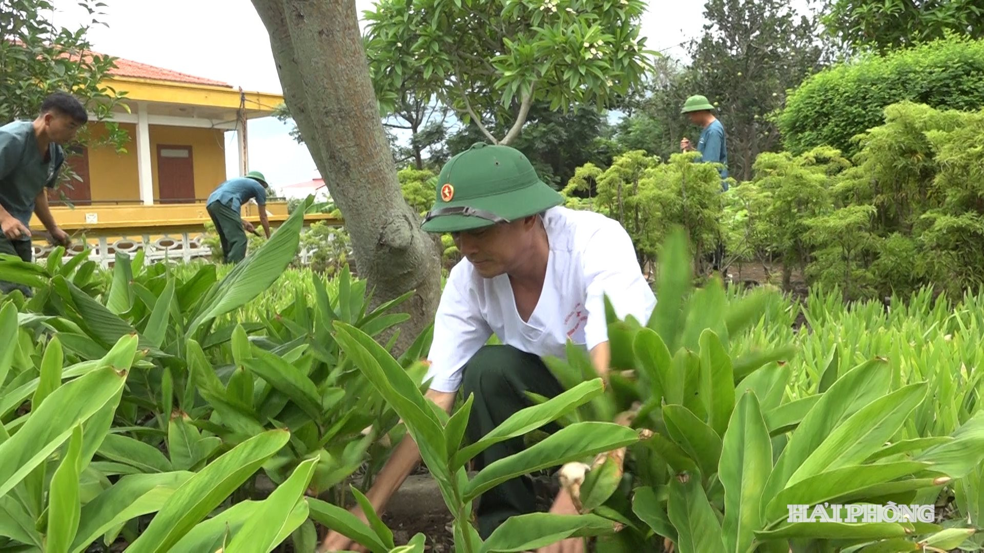 ANH TRONG - VUON THUOC NAM