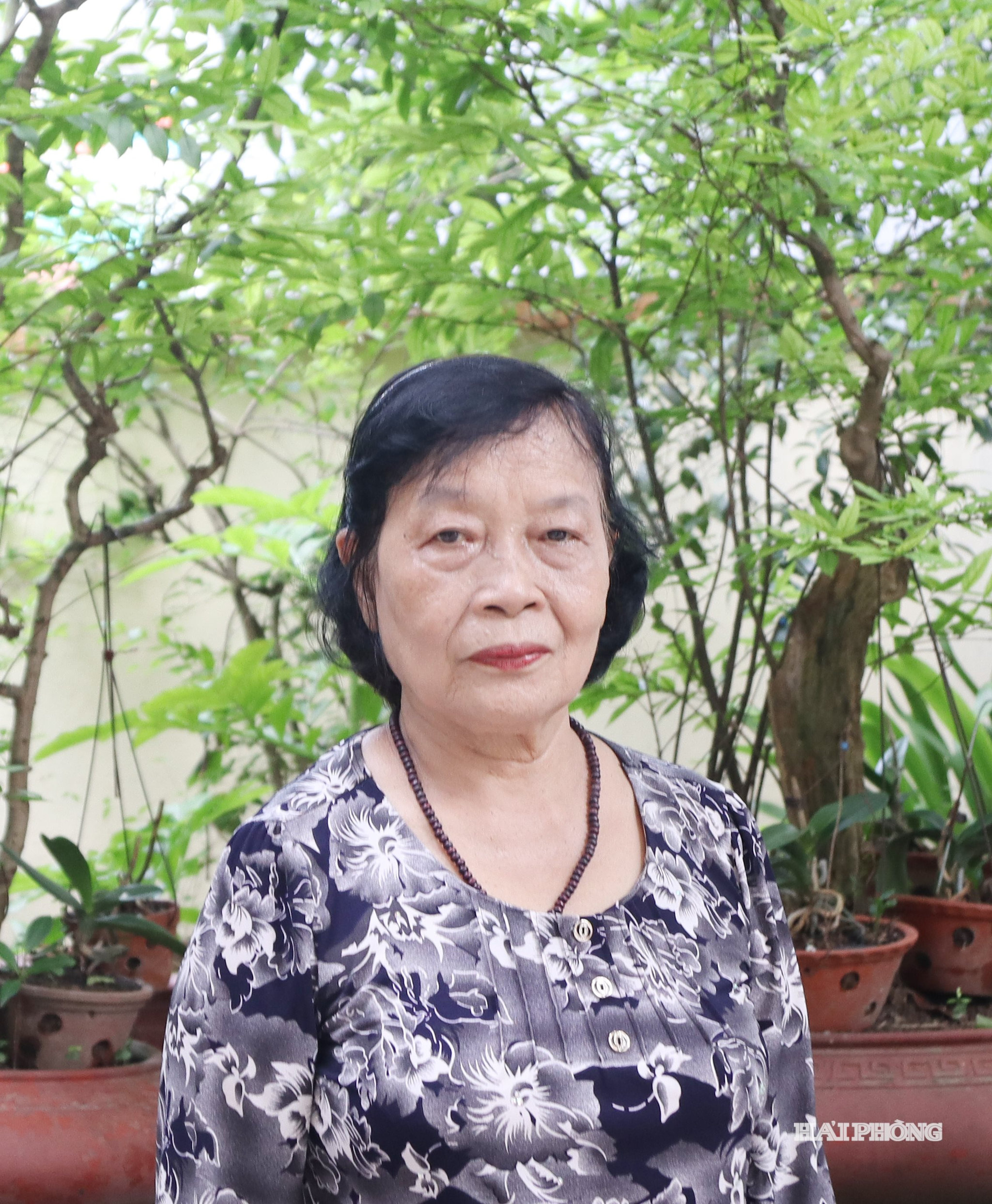 co - cuong